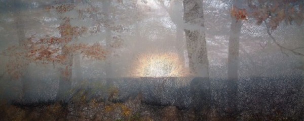 山形の四季彩