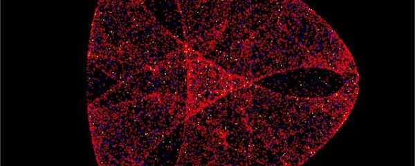 対称性を持つカオスと折り曲げ模様のあるカオス